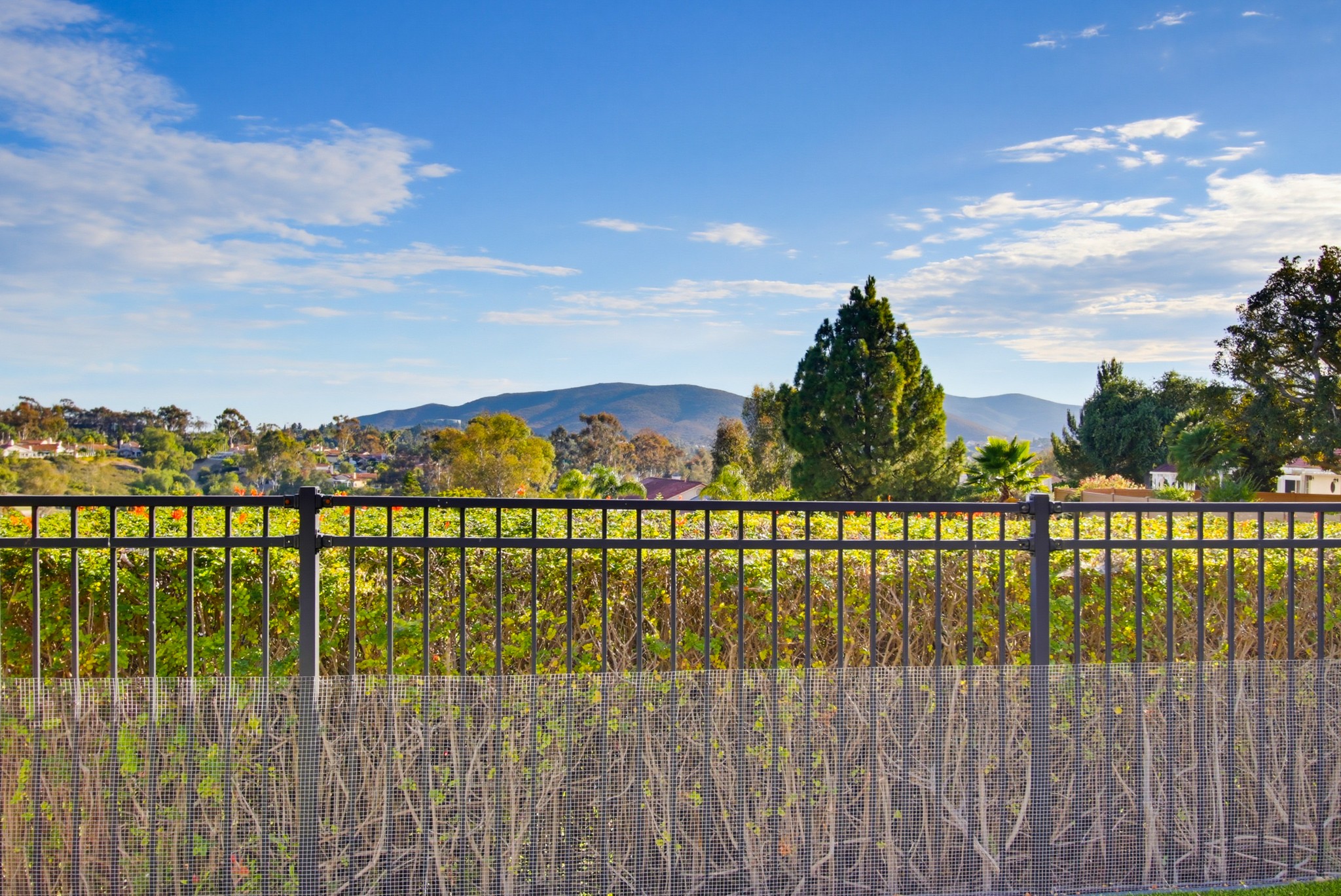 Virtual tour photo 45 of 81 for 15860 Caminito Cercado
