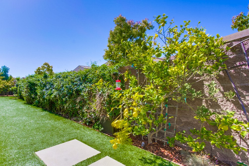 Virtual tour photo 85 of 85 for 15886 Angeline Pl