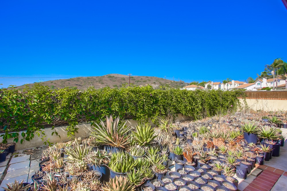 Virtual tour photo 42 of 49 for 15890 Camino Crisalida