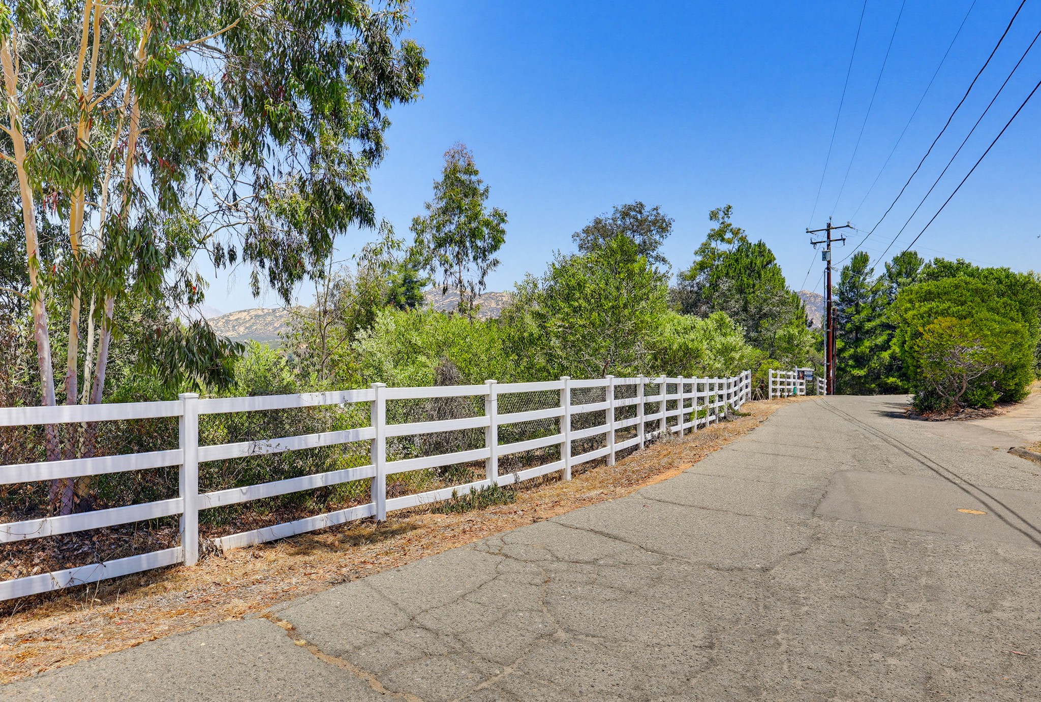 Virtual tour photo 4 of 90 for 160 Scottford Dr