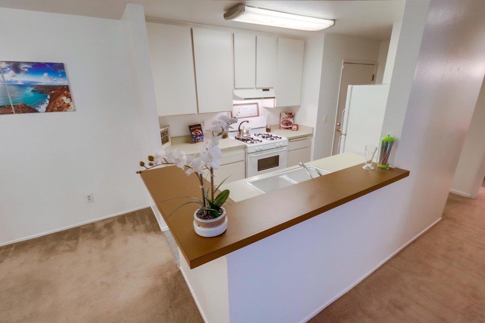 Virtual tour photo 15 of 38 for 1605 Hotel Cir S