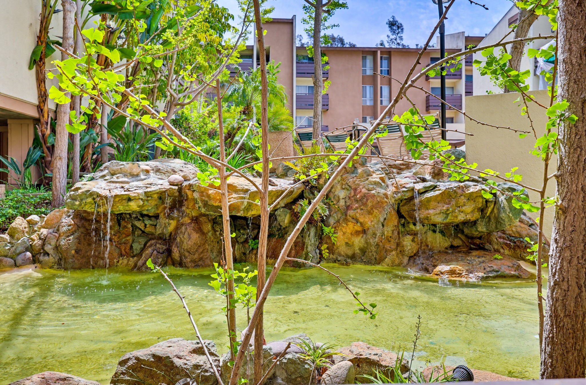 Virtual tour photo 42 of 60 for 1605 Hotel Cir S