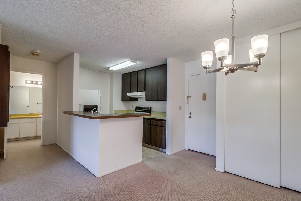 Virtual tour photo 14 of 34 for 1605 Hotel Cir S B310