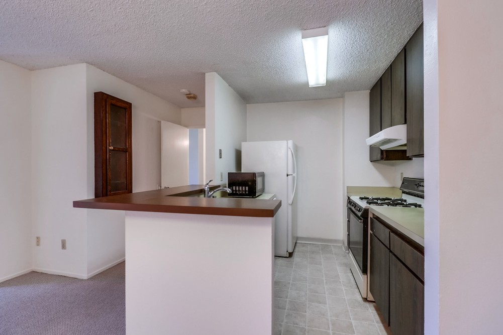 Virtual tour photo 18 of 34 for 1605 Hotel Cir S B310