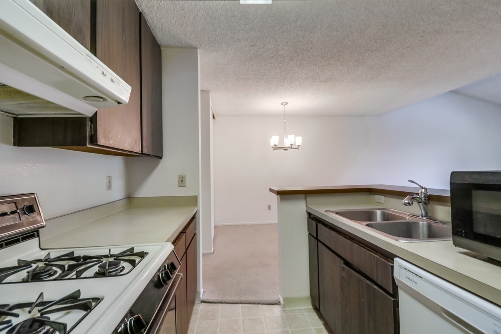 Virtual tour photo 19 of 34 for 1605 Hotel Cir S B310