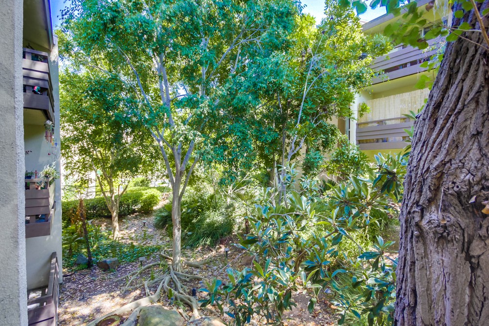 Virtual tour photo 25 of 36 for 1611 Hotel Cir S