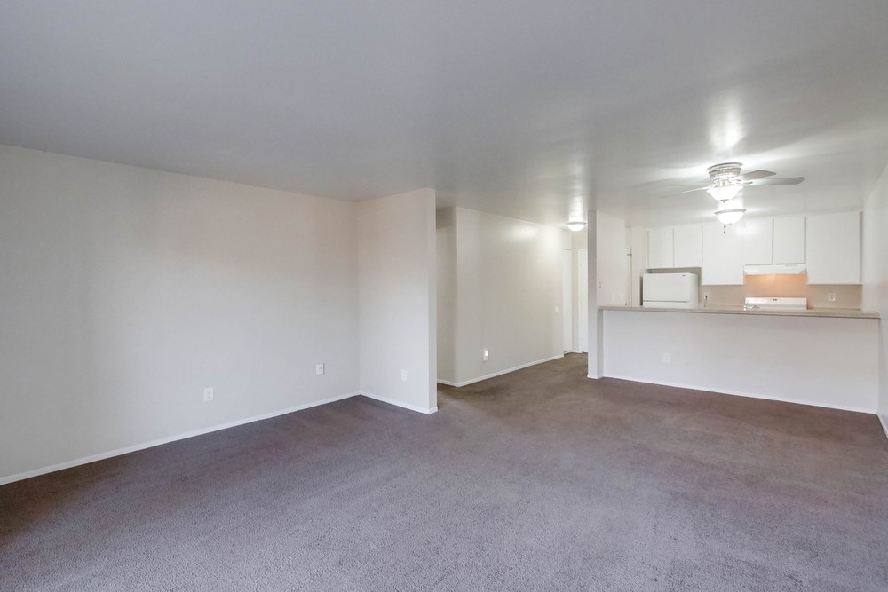 Virtual tour photo 7 of 39 for 1615 Hotel Cir S Unit D 212