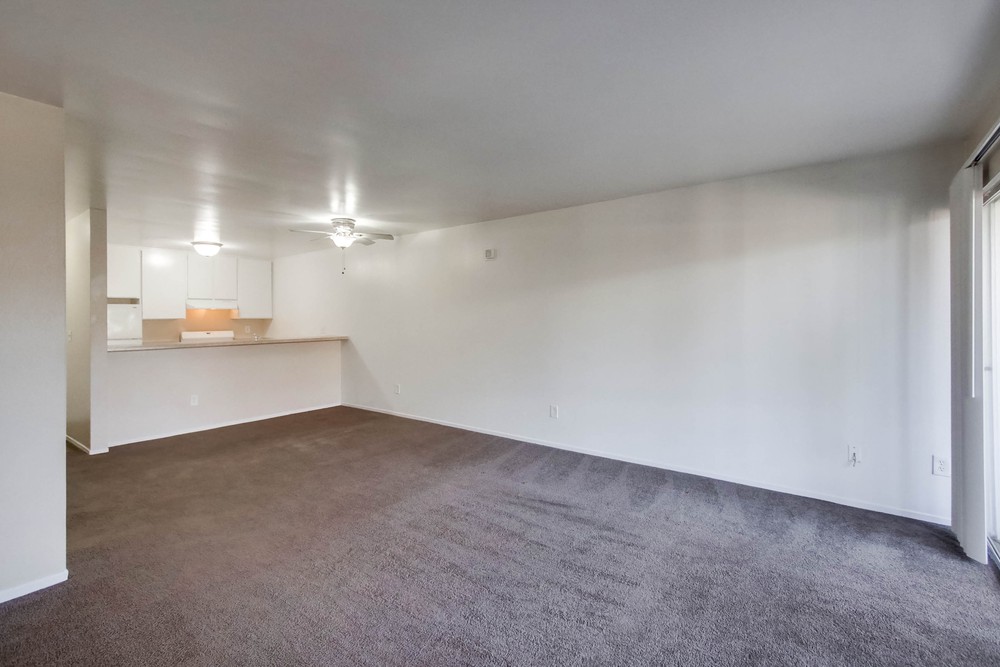 Virtual tour photo 8 of 39 for 1615 Hotel Cir S Unit D 212