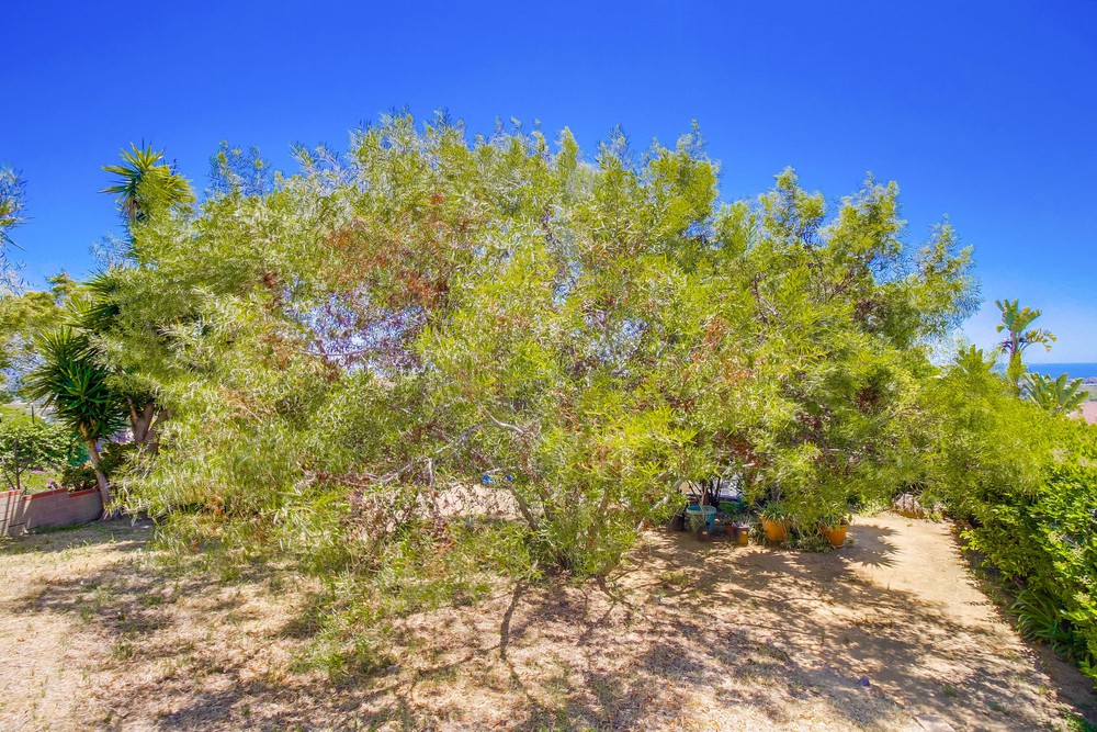 Virtual tour photo 126 of 130 for 1632 Monmouth Dr