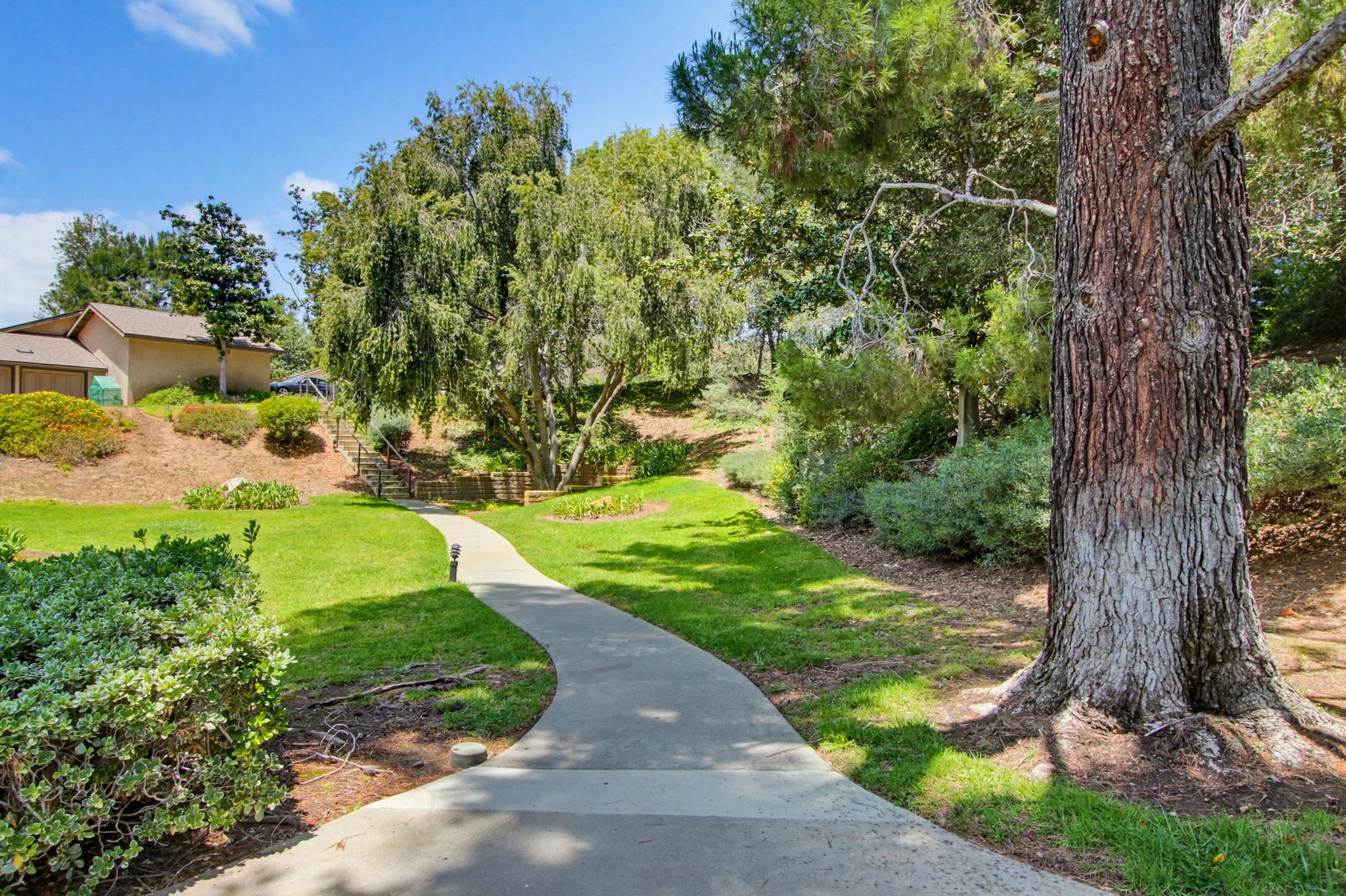 Virtual tour photo 58 of 66 for 1637 Pala Lake Dr