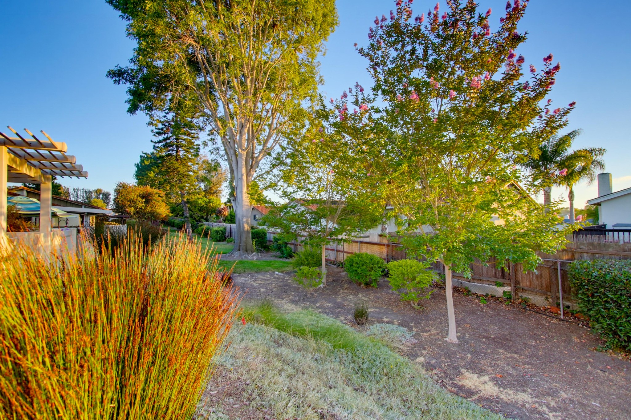Virtual tour photo 61 of 63 for 1644 Forestdale Dr