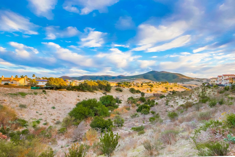 Virtual tour photo 22 of 56 for 16467 Veridian Cir