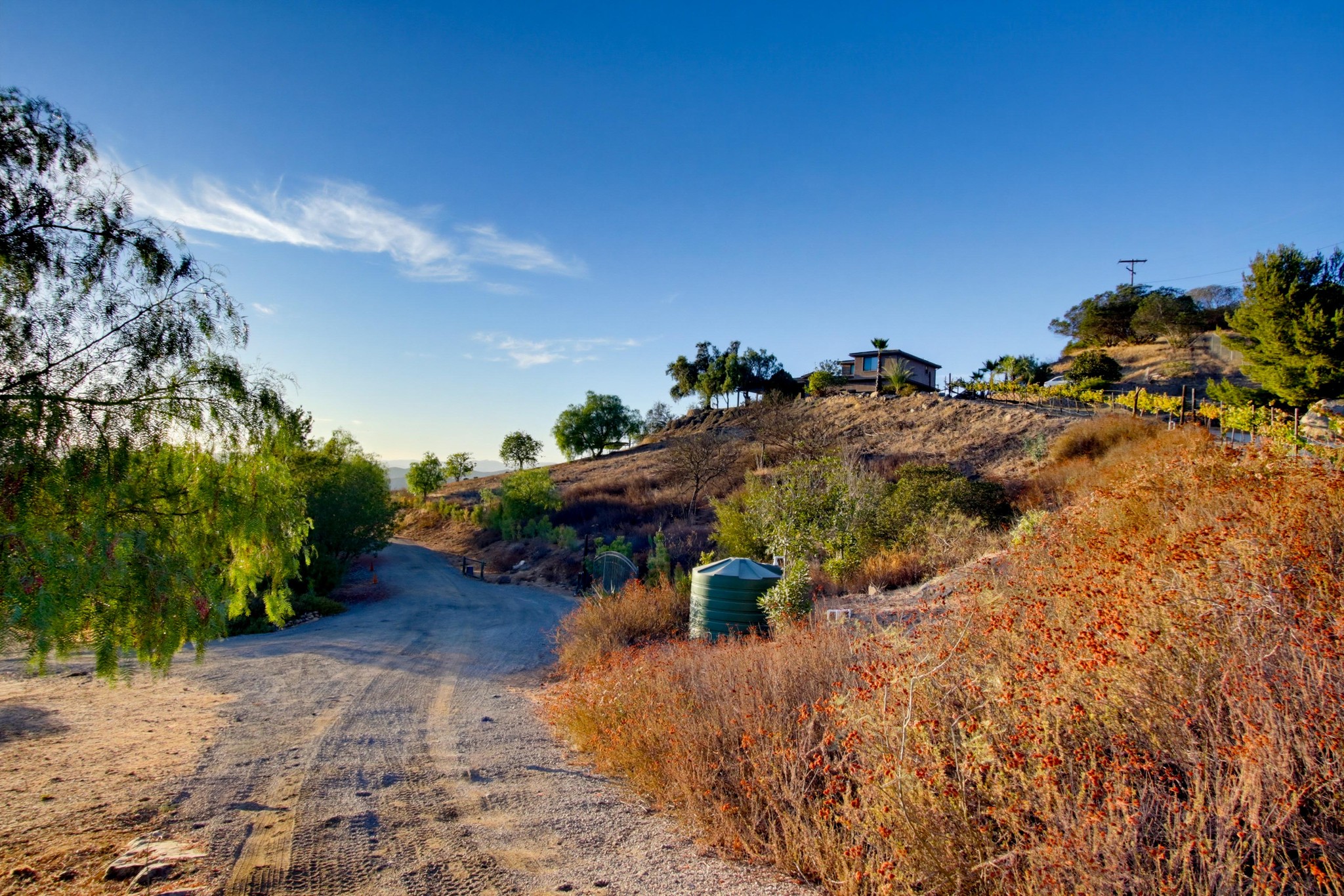 Virtual tour photo 65 of 123 for 16850 Old Survey Rd