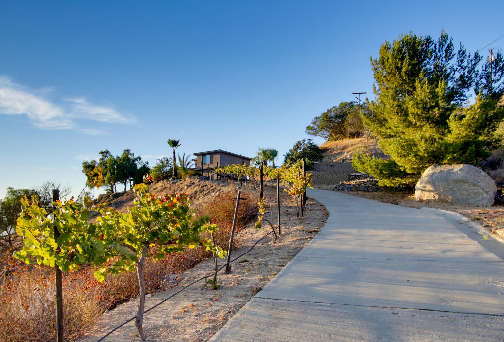 Virtual tour photo 66 of 123 for 16850 Old Survey Rd