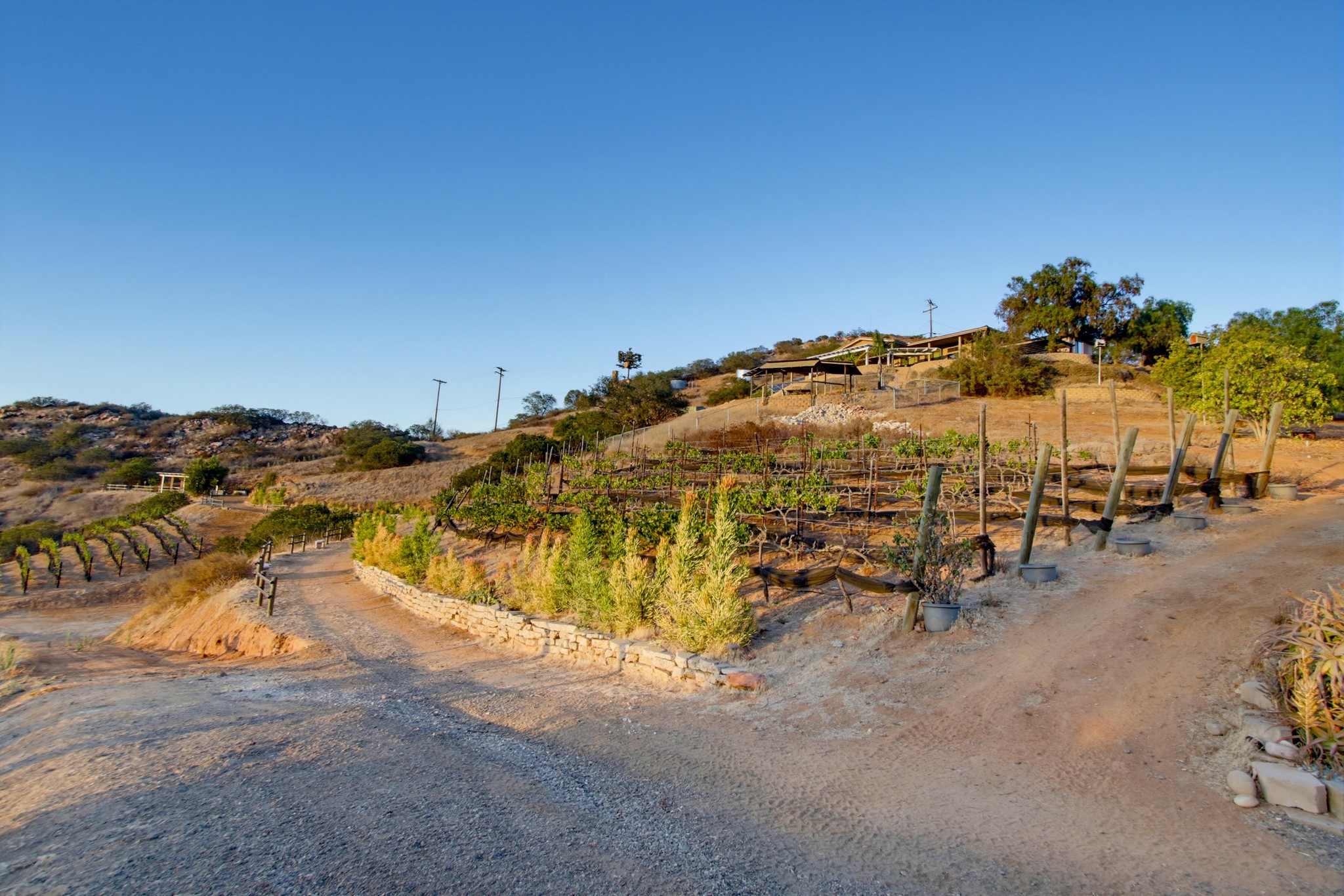 Virtual tour photo 98 of 123 for 16850 Old Survey Rd