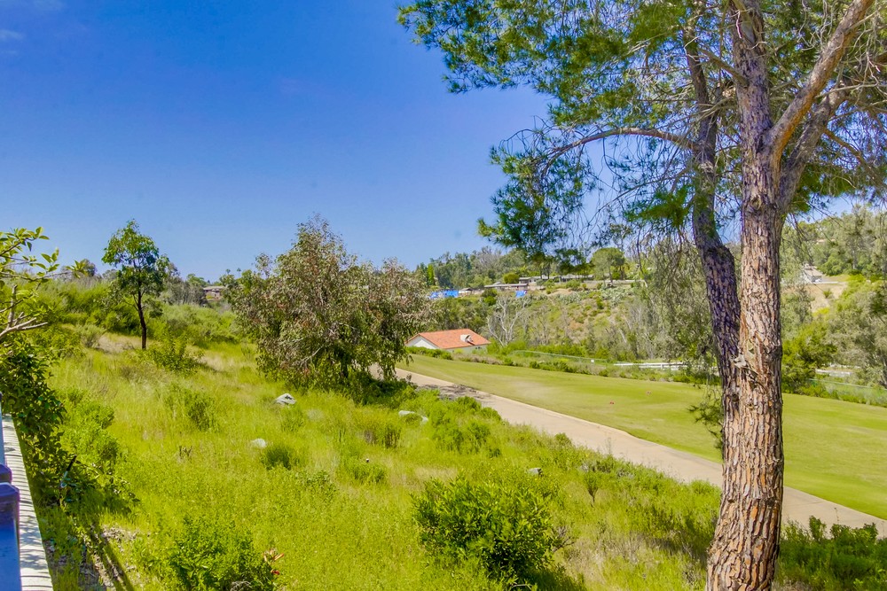 Virtual tour photo 78 of 94 for 16906 Blue Shadows Ln