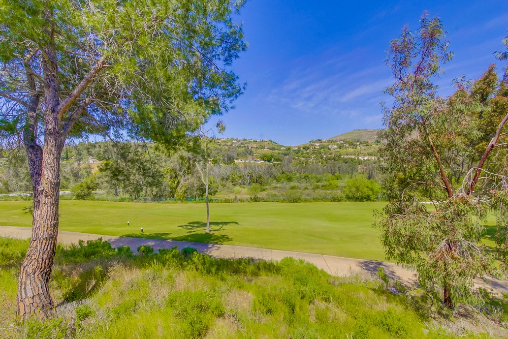 Virtual tour photo 79 of 94 for 16906 Blue Shadows Ln