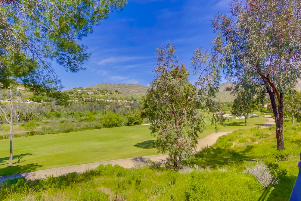 Virtual tour photo 80 of 94 for 16906 Blue Shadows Ln