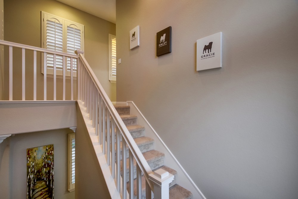 Virtual tour photo 45 of 101 for 16966 Silver Crest Ln