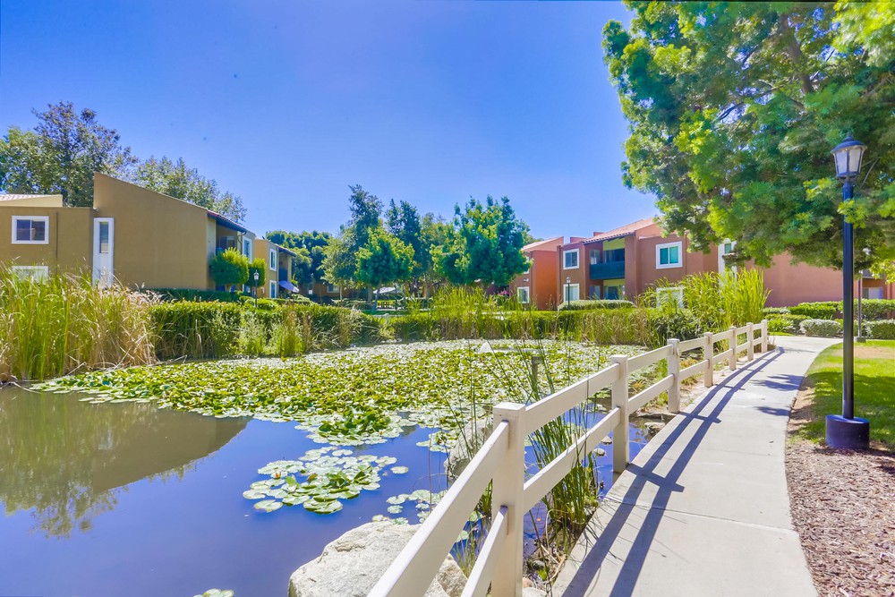 Virtual tour photo 37 of 50 for 17099 W Bernardo Dr UNIT 201