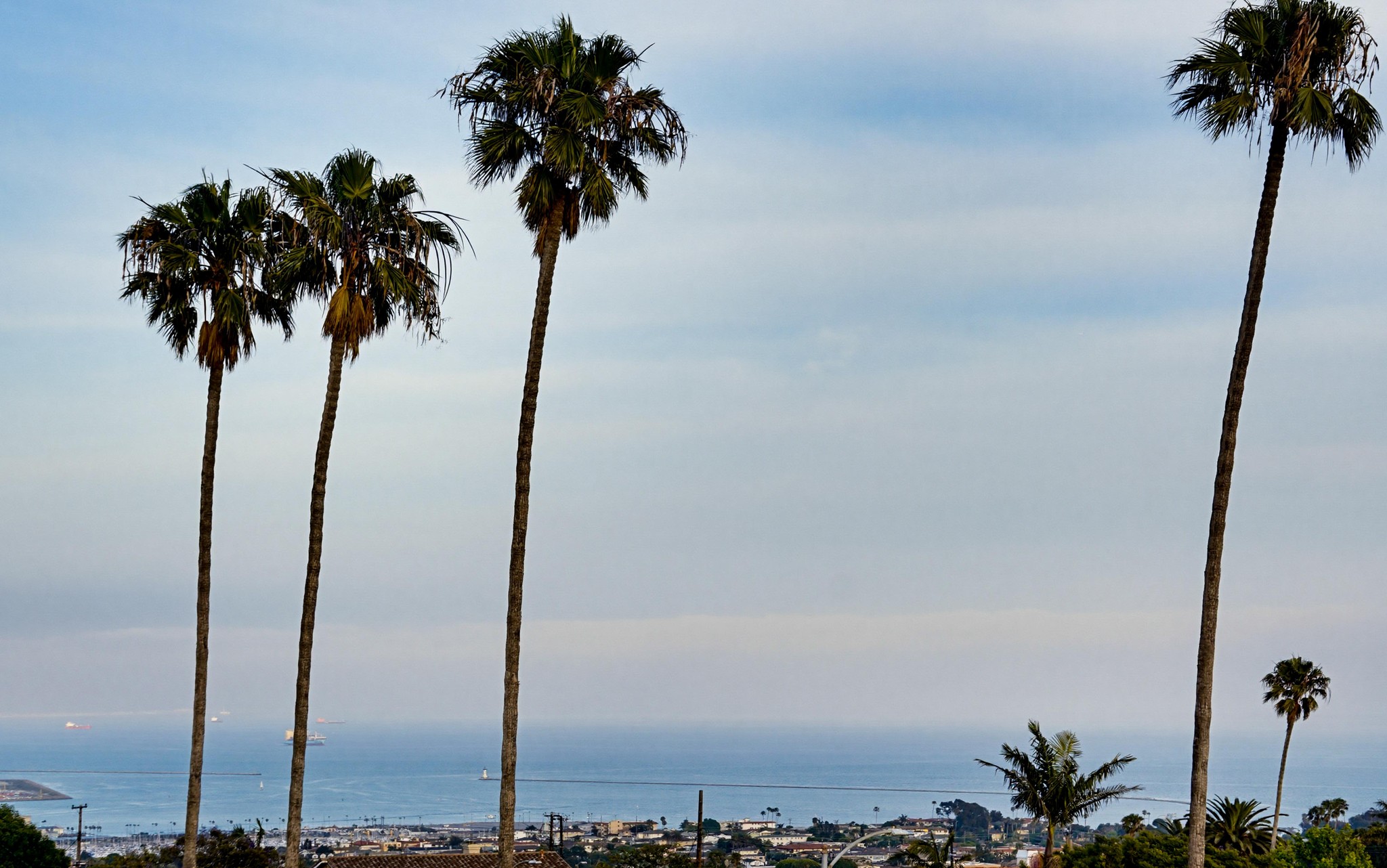 Virtual tour photo 59 of 59 for 1711 Pescadores Ave