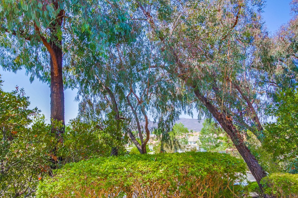 Virtual tour photo 40 of 48 for 17161 Alva Rd UNIT 1316