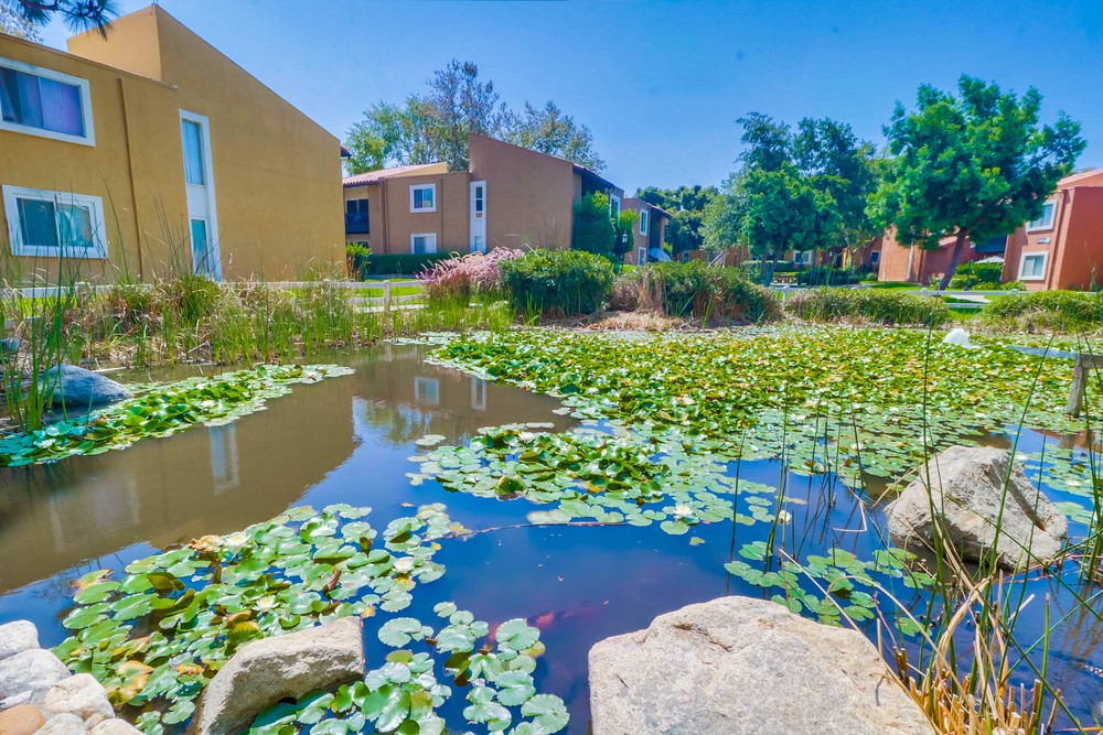 Virtual tour photo 35 of 37 for 17165 W Bernardo Dr UNIT 201