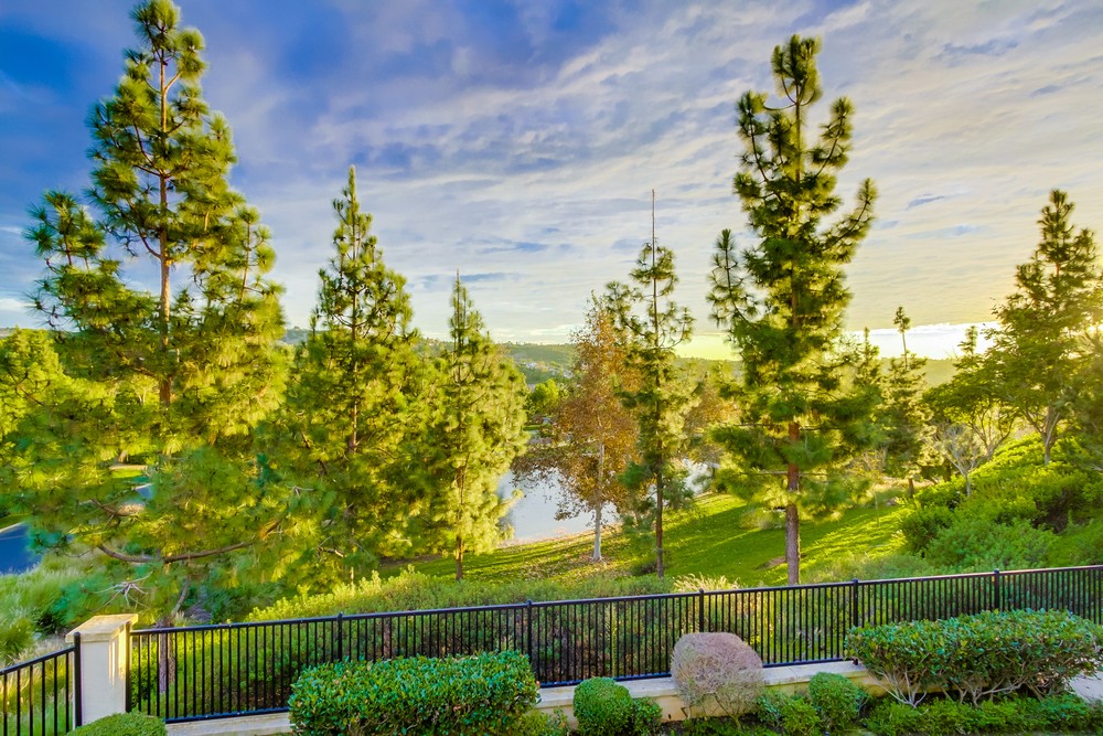 Virtual tour photo 112 of 118 for 17212 Country Girl Ln