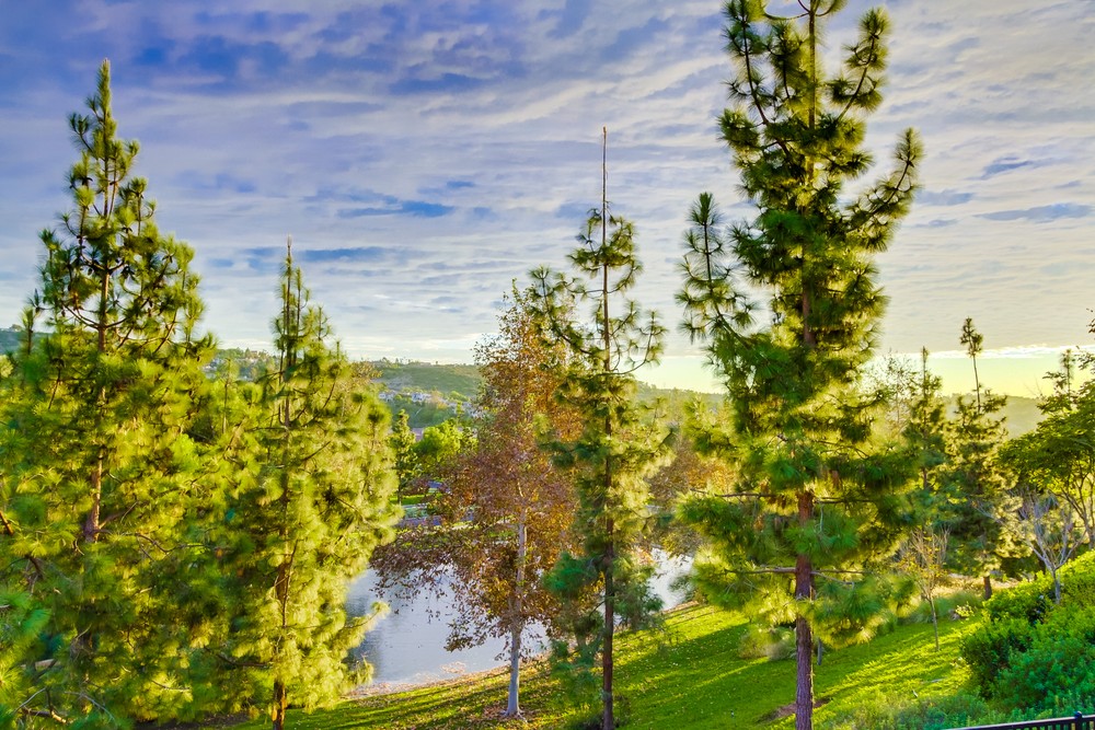 Virtual tour photo 114 of 118 for 17212 Country Girl Ln