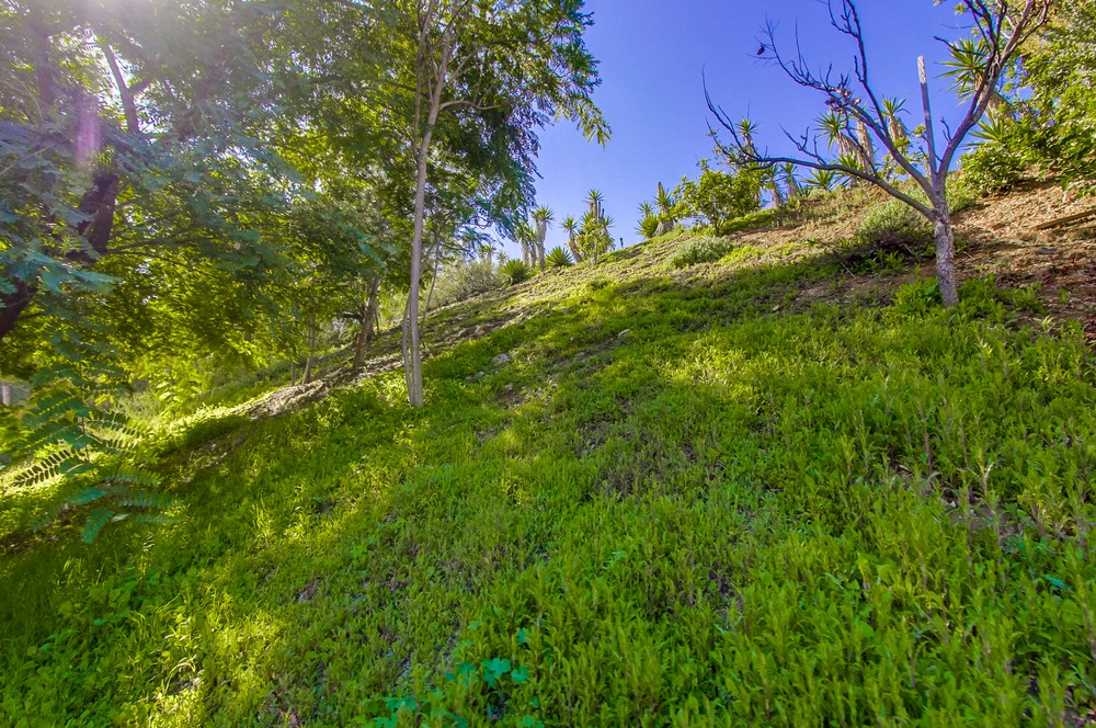 Virtual tour photo 54 of 59 for 17212 Matinal Rd