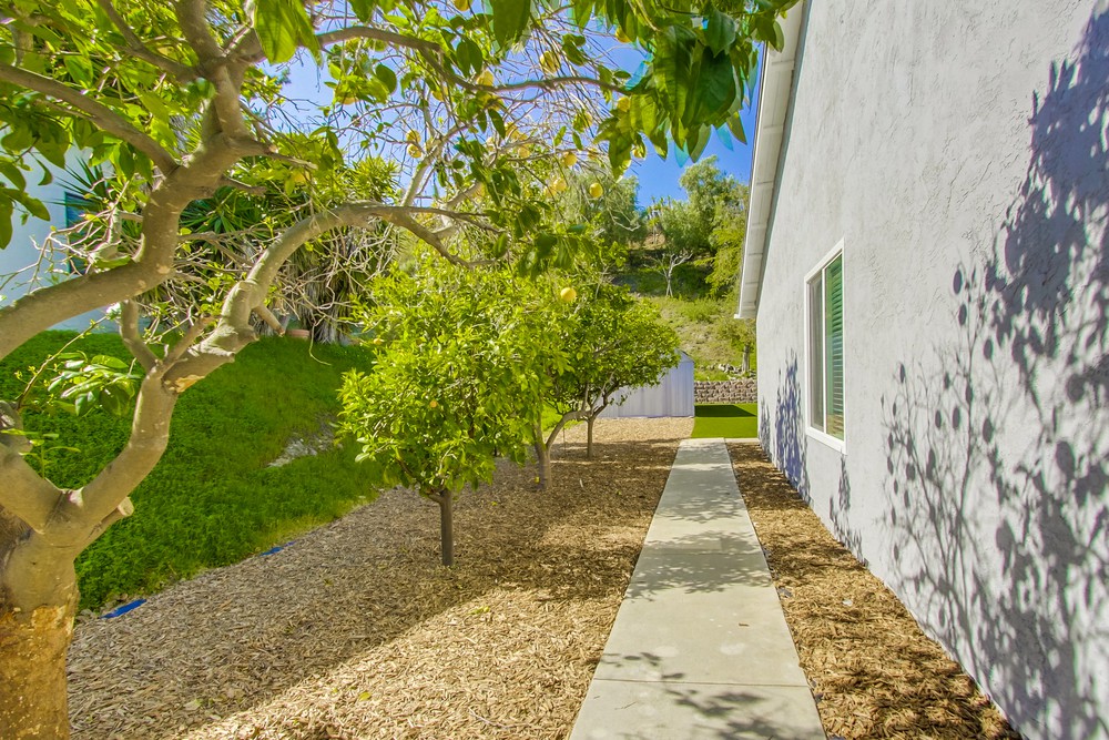 Virtual tour photo 56 of 59 for 17212 Matinal Rd