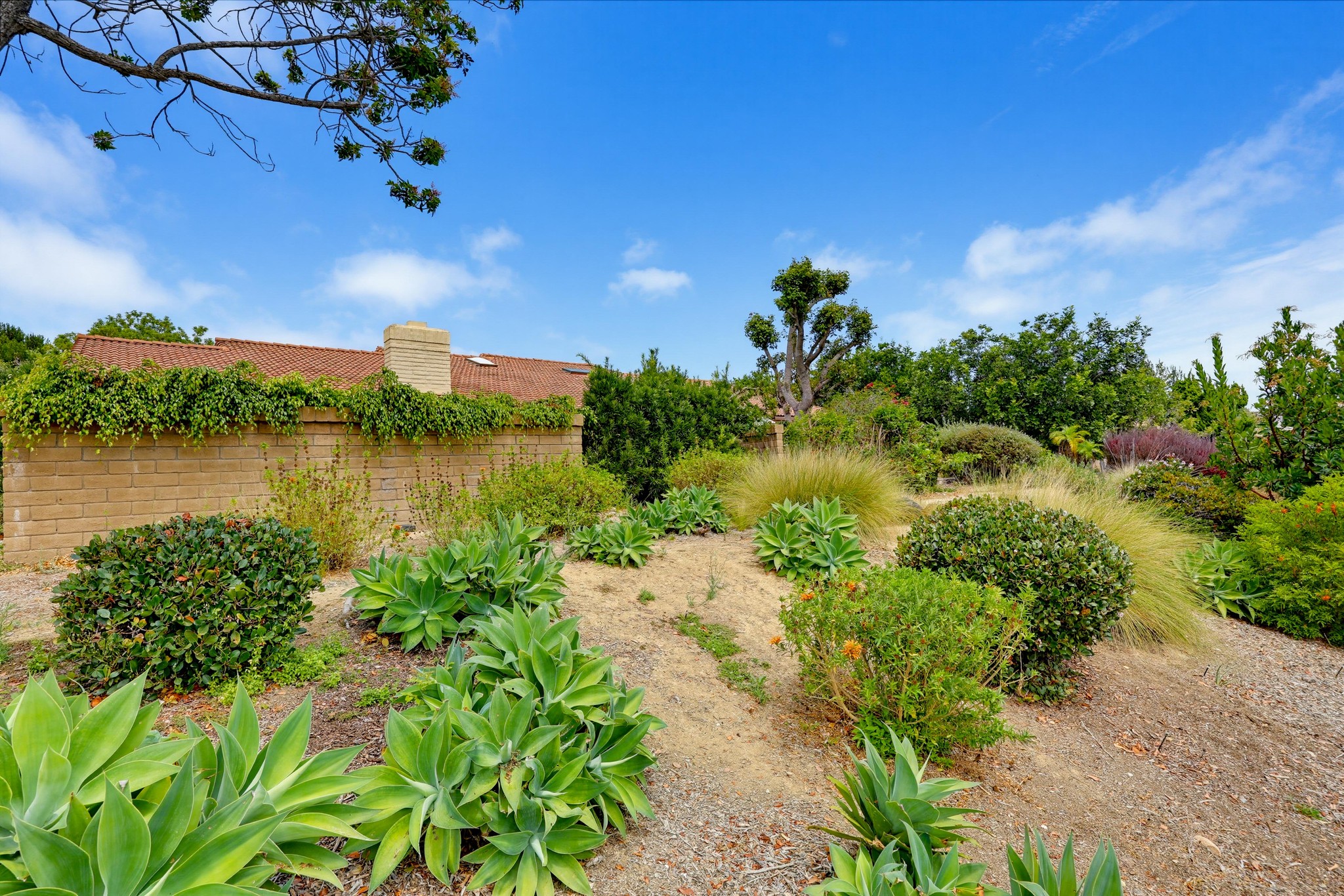 Virtual tour photo 53 of 66 for 1731 Caminito Ardiente