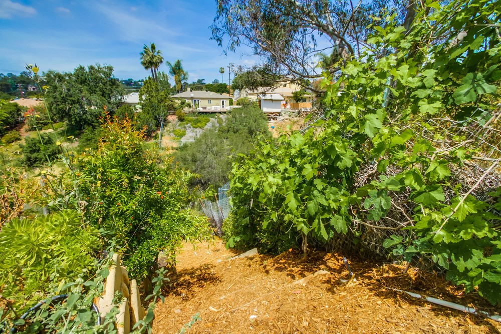 Virtual tour photo 49 of 50 for 1736 Pentuckett Ave