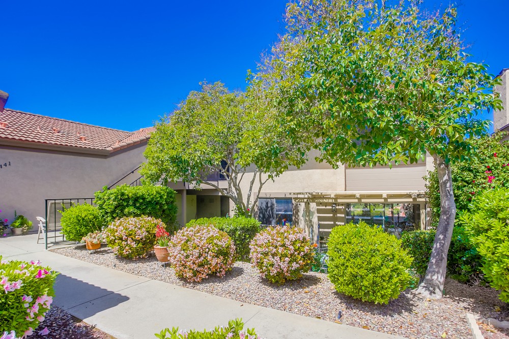 Virtual tour photo 1 of 43 for 17445 Plaza Dolores