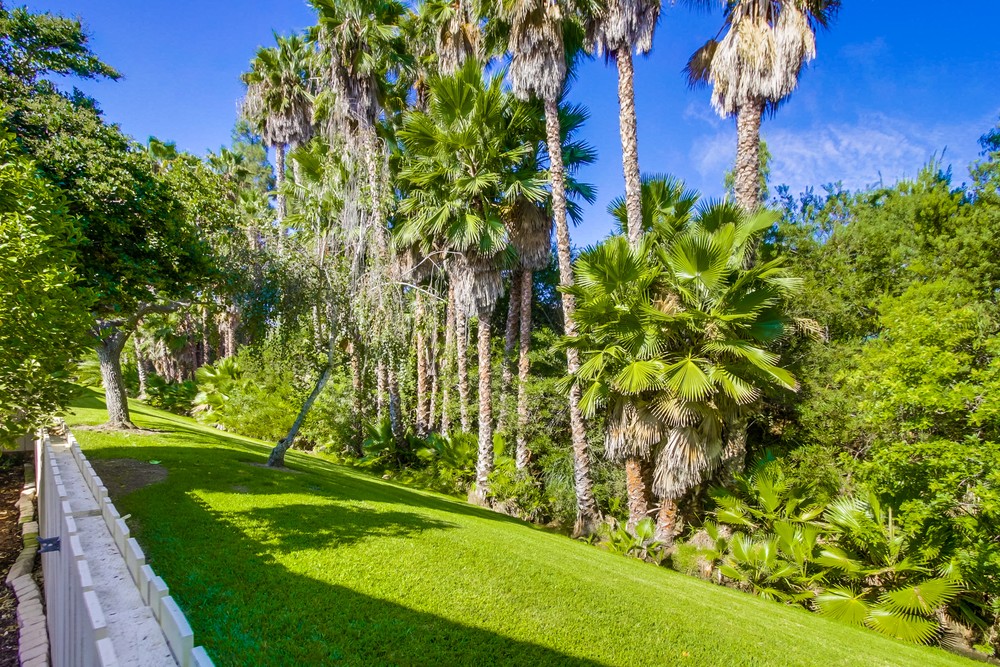Virtual tour photo 35 of 35 for 17460 Caminito Baya