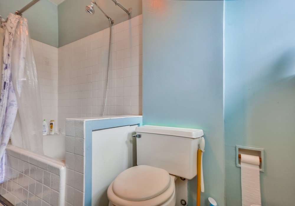 Virtual tour photo 39 of 67 for 1752 W Lewis St