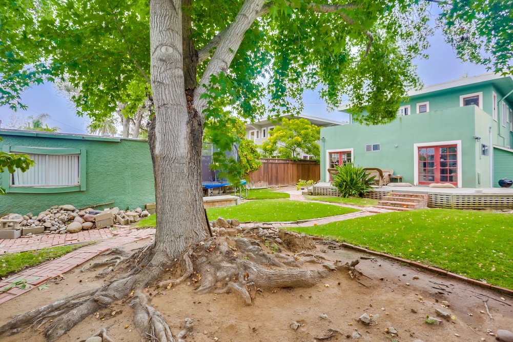Virtual tour photo 68 of 67 for 1752 W Lewis St