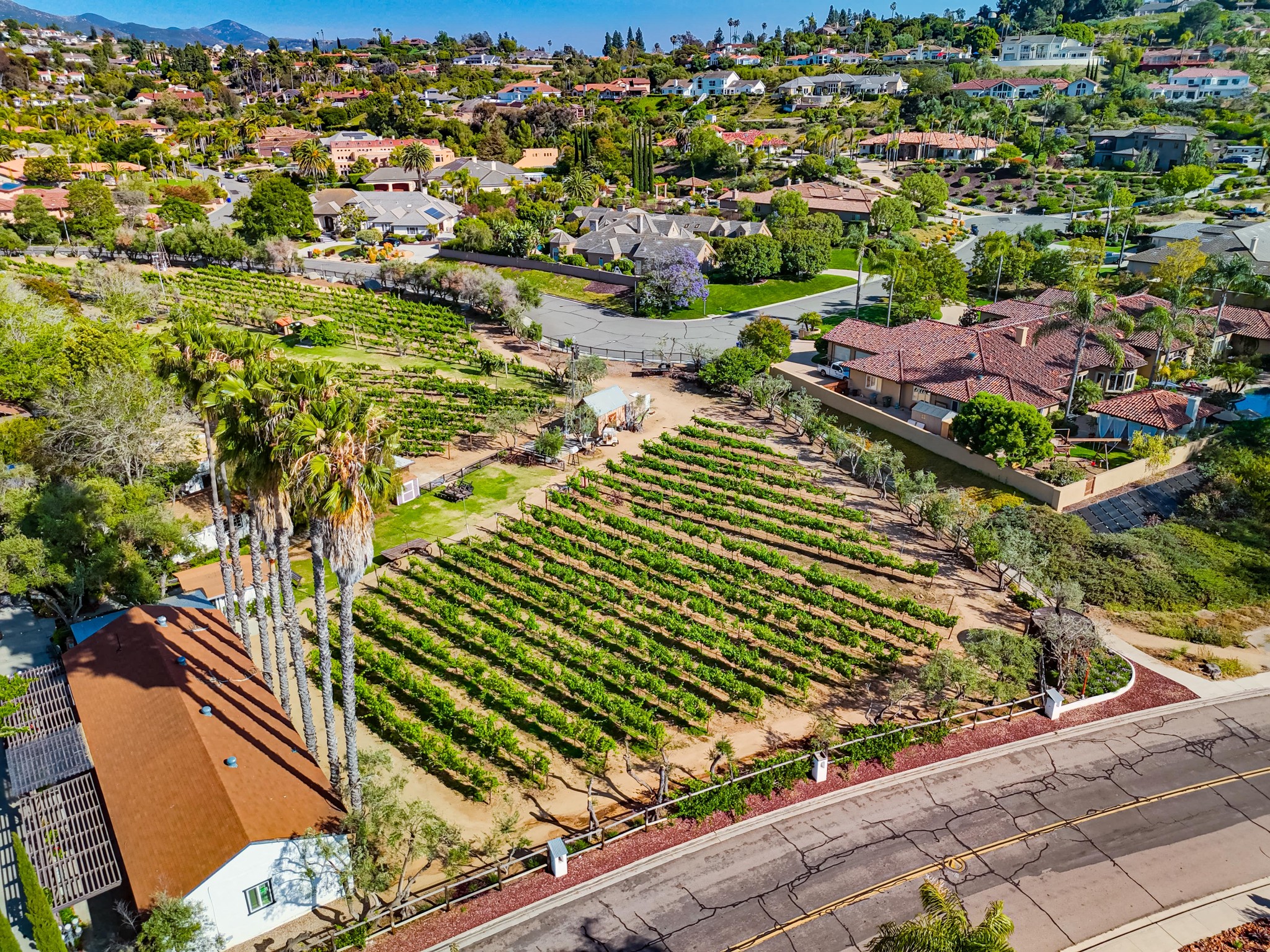 Virtual tour photo 69 of 85 for 17539 Cumana Terrace