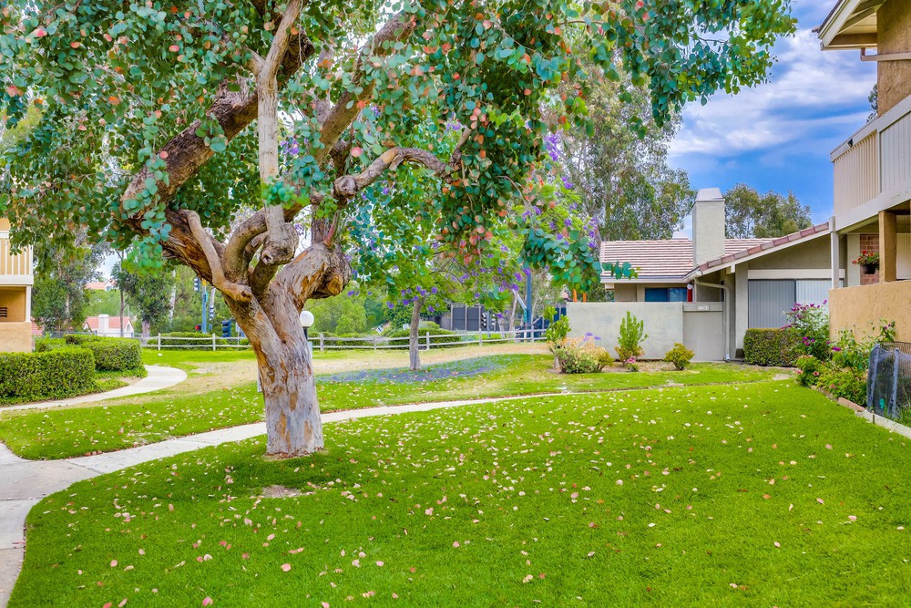 Virtual tour photo 41 of 40 for 17565 Fairlie Rd