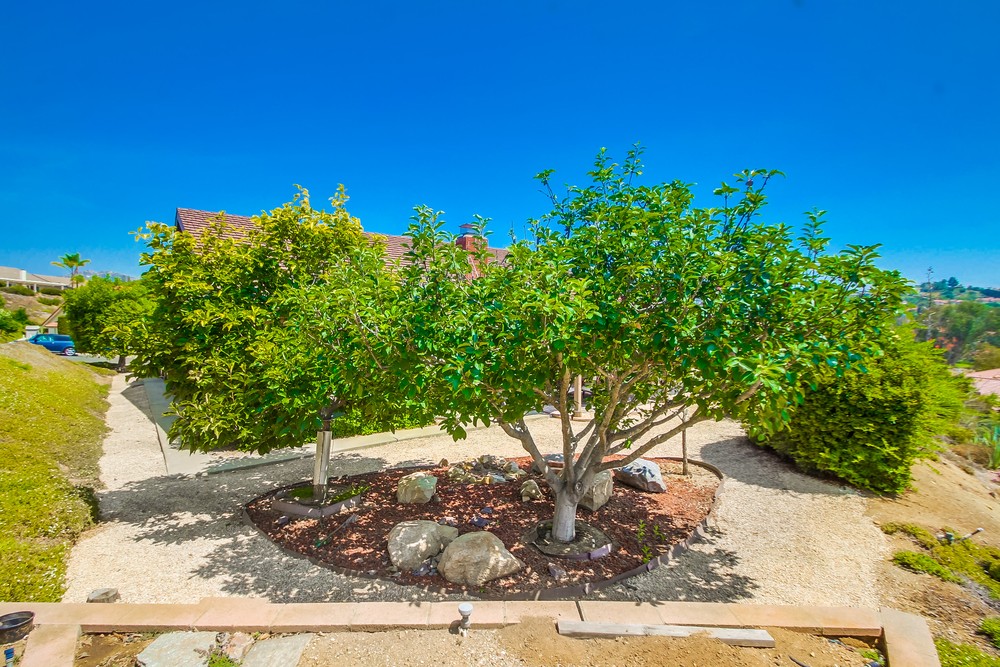 Virtual tour photo 57 of 61 for 17670 Fonticello Way