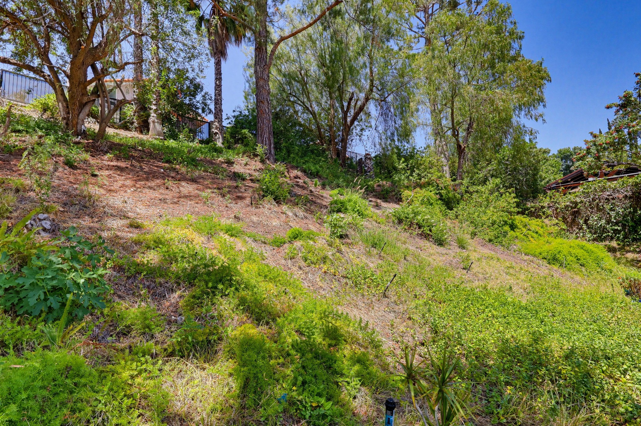Virtual tour photo 87 of 95 for 17711 Silverstream Dr