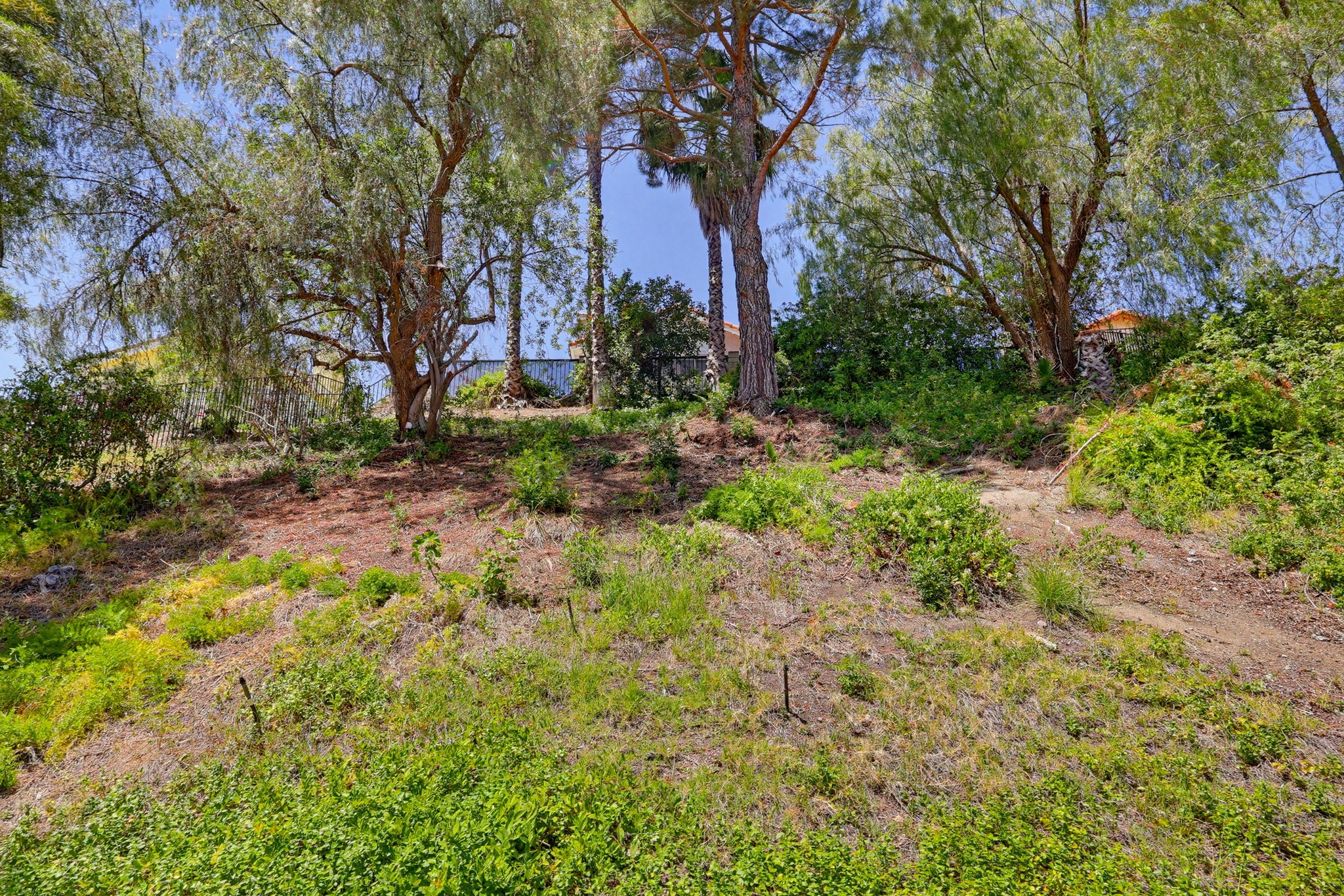 Virtual tour photo 93 of 95 for 17711 Silverstream Dr