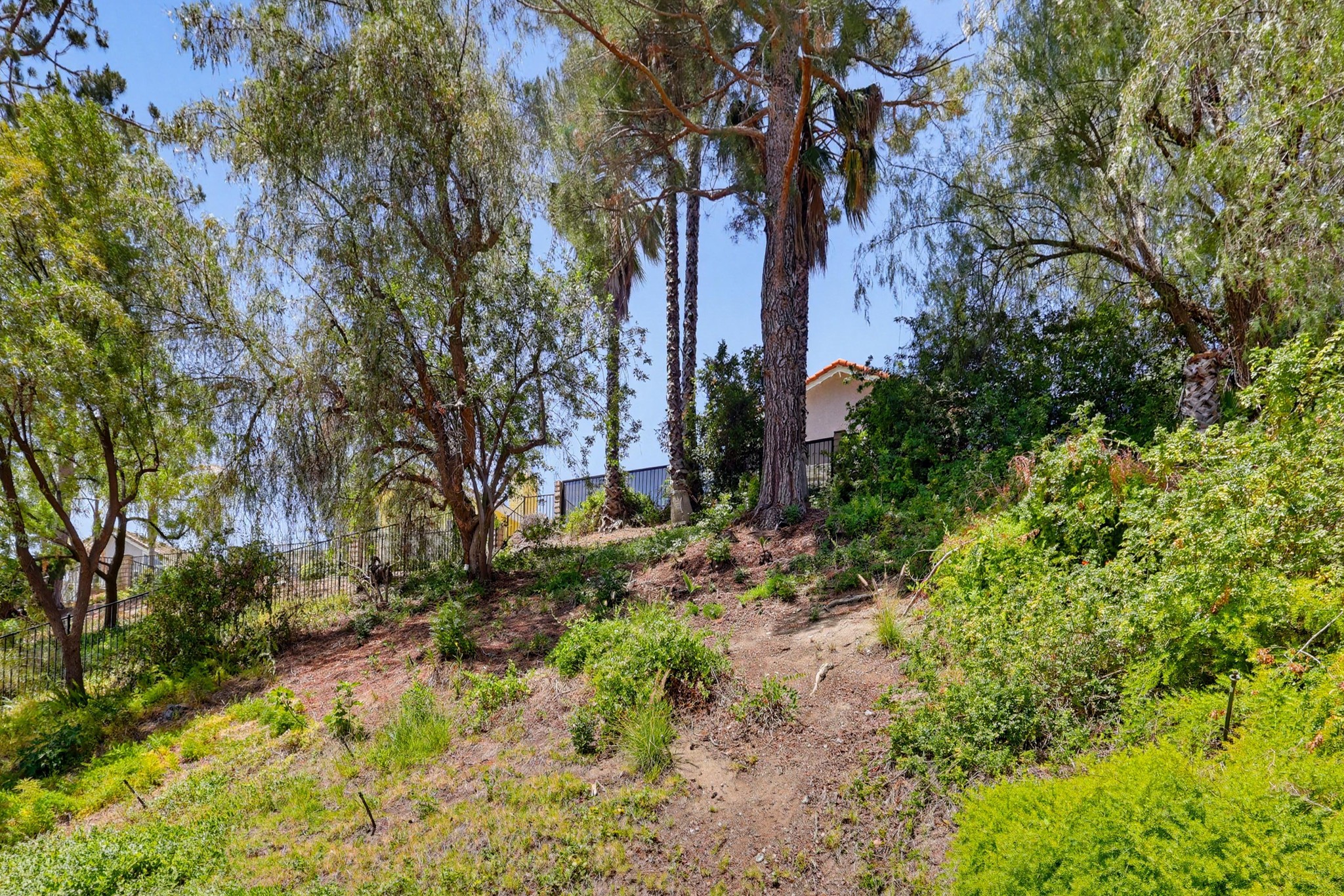 Virtual tour photo 94 of 95 for 17711 Silverstream Dr