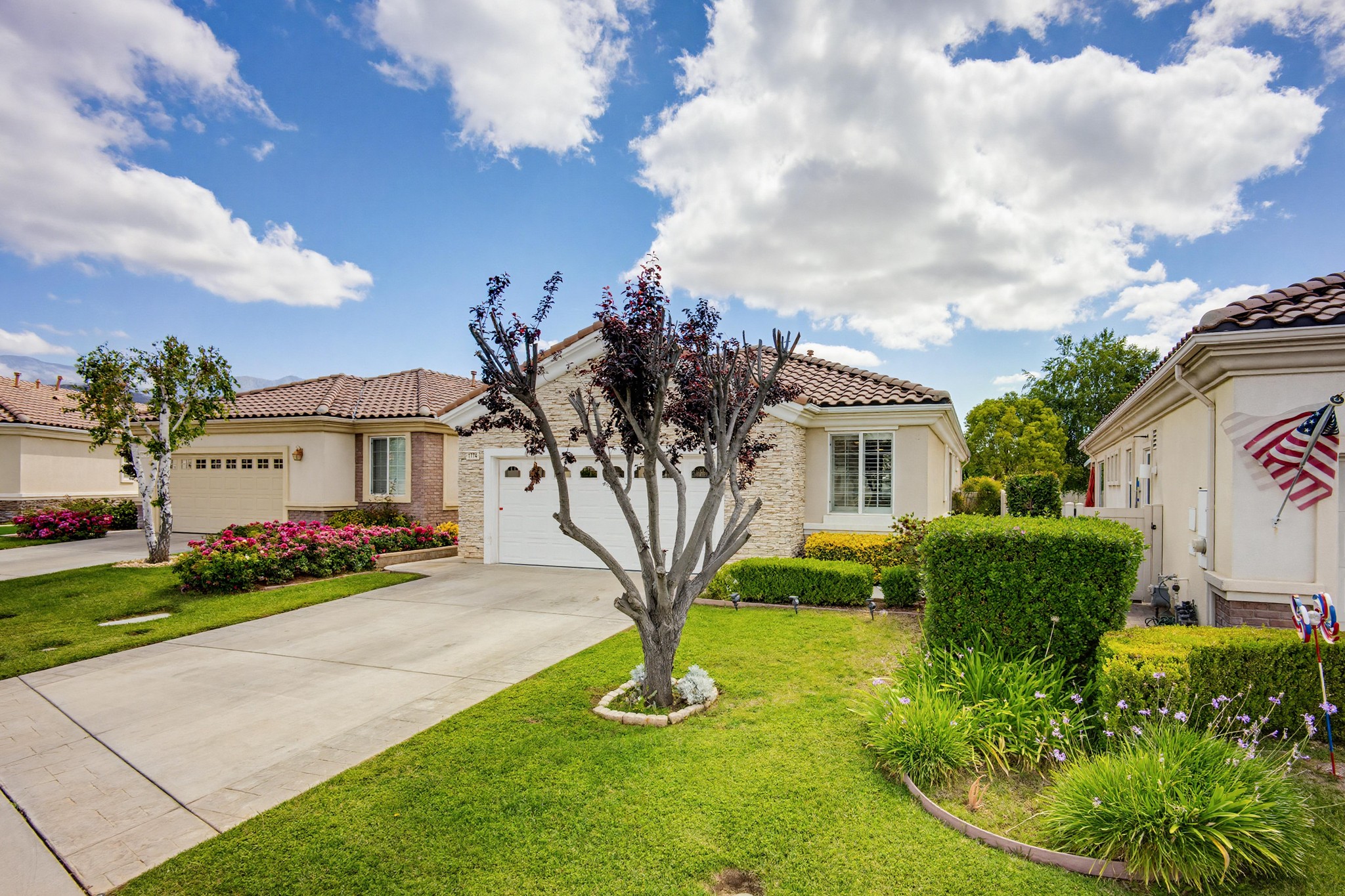 Virtual tour photo 3 of 60 for 1774 Dalea Way