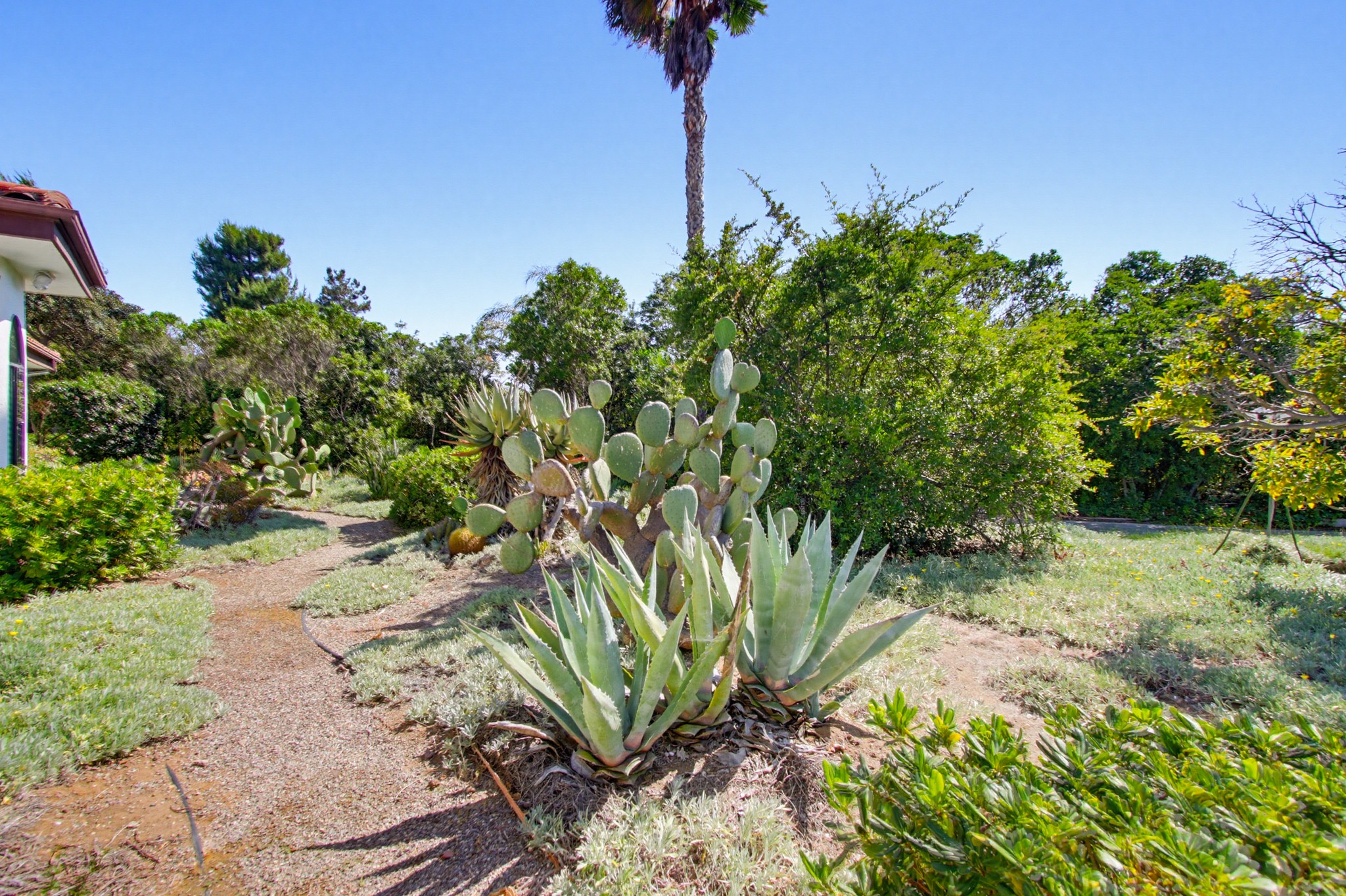 Virtual tour photo 104 of 172 for 17844 Joyas Ct