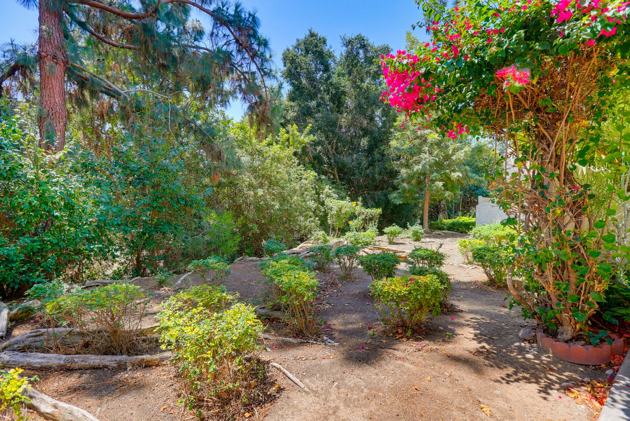 Virtual tour photo 53 of 62 for 1801 Vista Del Oro