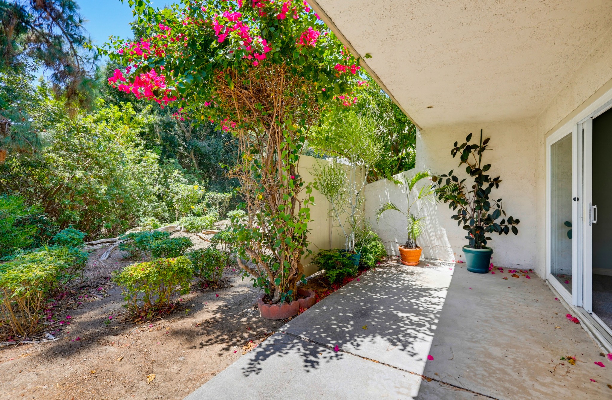 Virtual tour photo 54 of 62 for 1801 Vista Del Oro