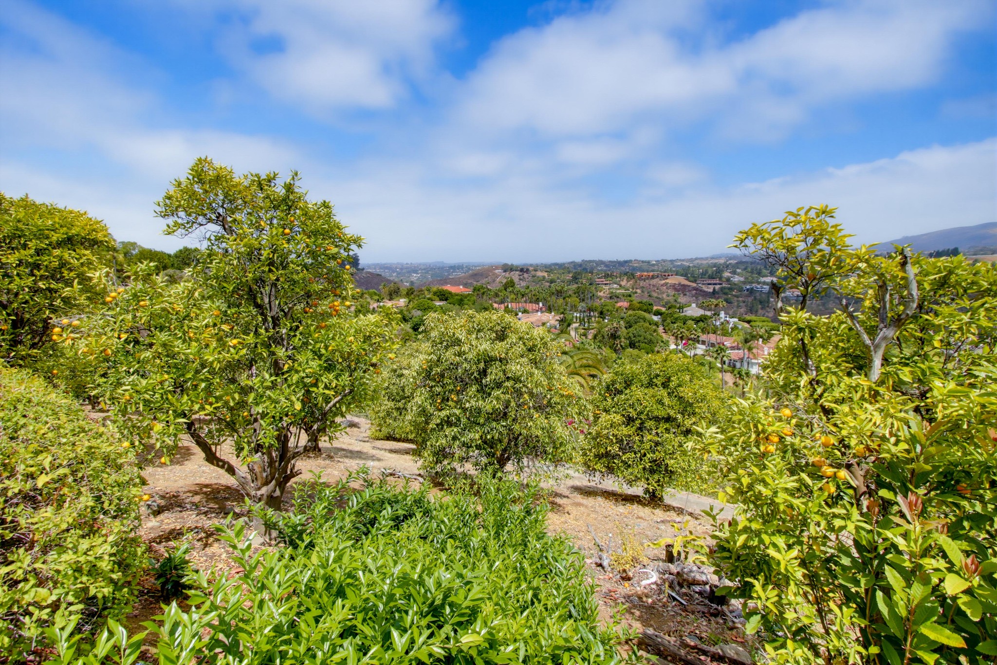 Virtual tour photo 94 of 134 for 18103 Via Ascenso