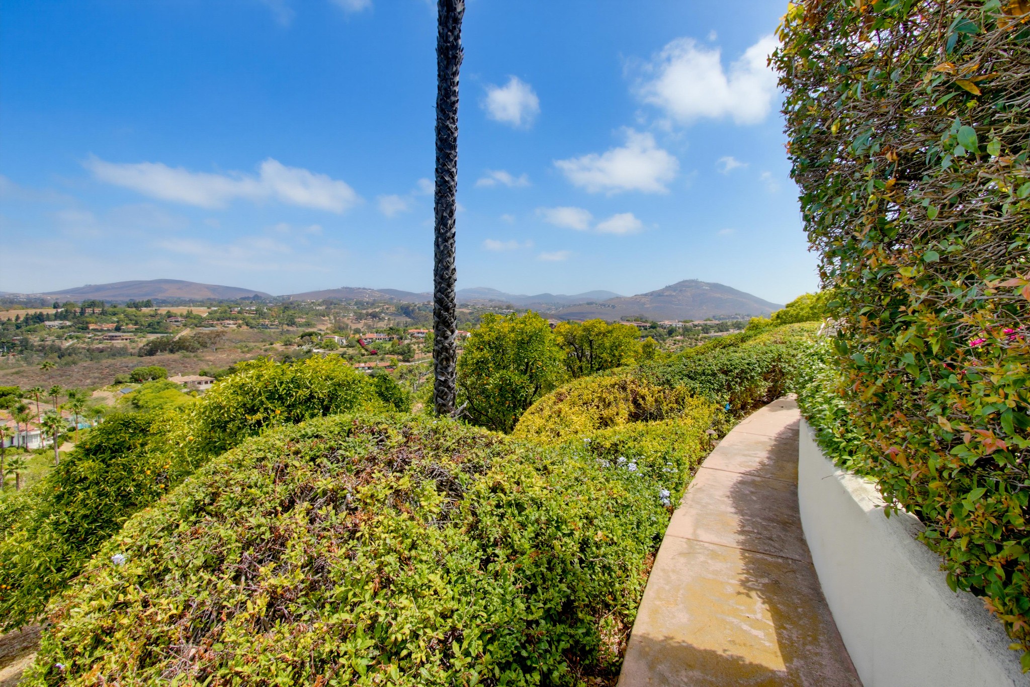 Virtual tour photo 97 of 134 for 18103 Via Ascenso