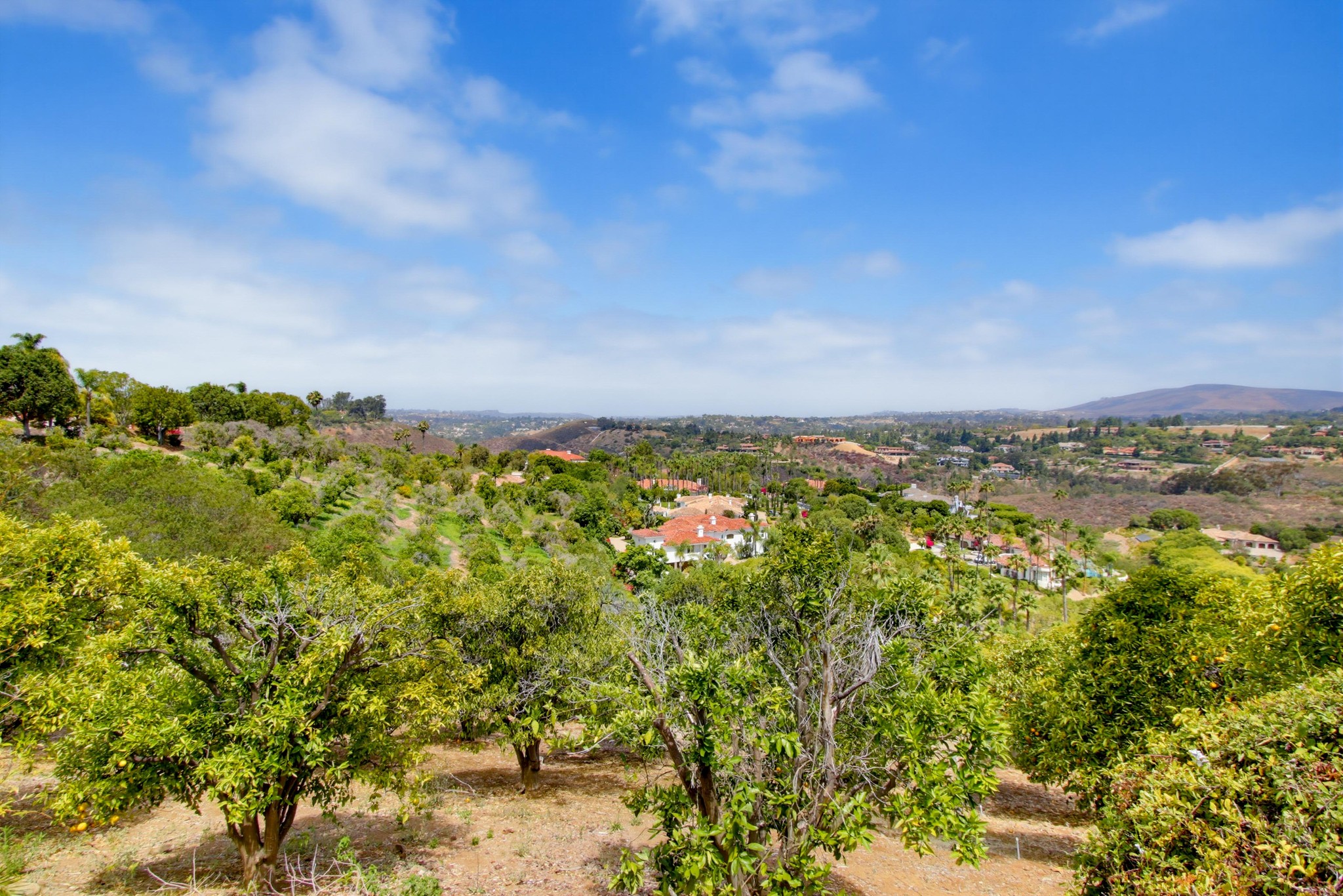 Virtual tour photo 98 of 134 for 18103 Via Ascenso